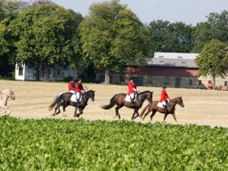 556410_10151090365998585_382372306_n